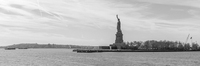 Assaf Frank Statue Of Liberty I