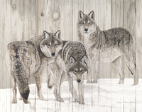 Jacquie Vaux Three Grey Wolves On Wood