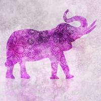Ken Roko Violet Elephant Spirit