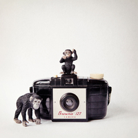 Susannah Tucker Photography Monkey Vintage Camera