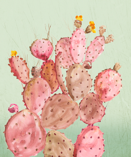 Aimee Wilson Pink Cacti