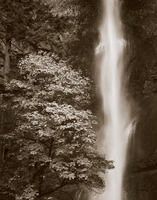Alan Majchrowicz Multnomah Falls