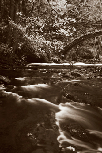 Alan Majchrowicz Whatcom Creek