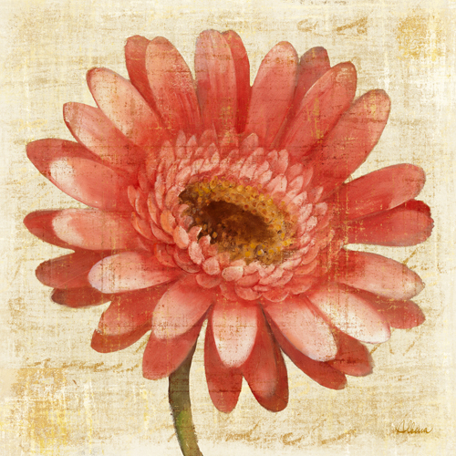 Albena Hristova Blushing Gerbera On Cream