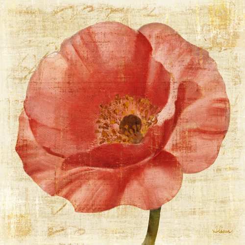 Albena Hristova Blushing Poppy On Cream