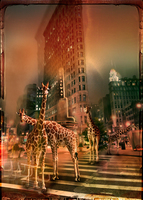 Andre Sanchez Zoo City Giraffas