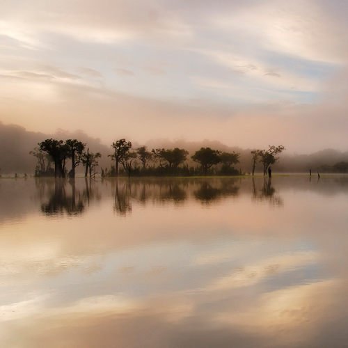 Andy Mumford Dawn Mist On The Amazon