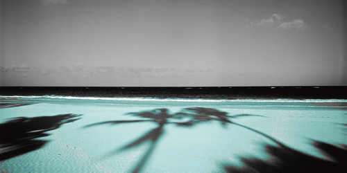 Anne Valverde Palm Sands