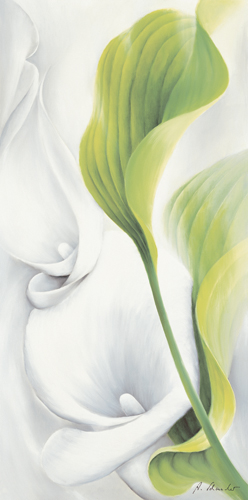 Annette Schmucker Calla Ii