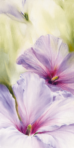 Annette Schmucker Hibiscus