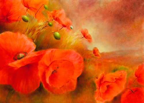 Annette Schmucker Im Abendlicht