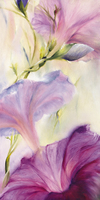 Annette Schmucker Prunkwinden
