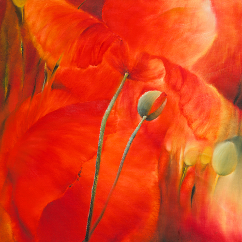 Annette Schmucker Roter Mohn