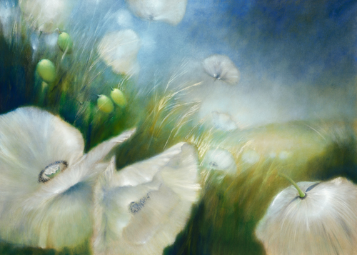 Annette Schmucker Weisser Mohn