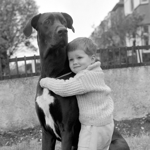 Anonym A Child With Dog