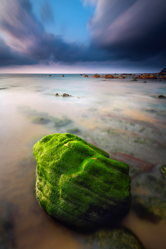 Arnaud Bertrande Barrika I