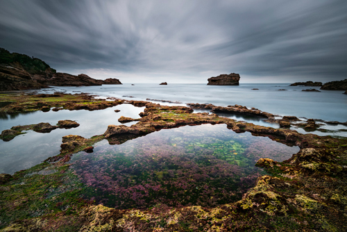 Arnaud Bertrande Biarritz I