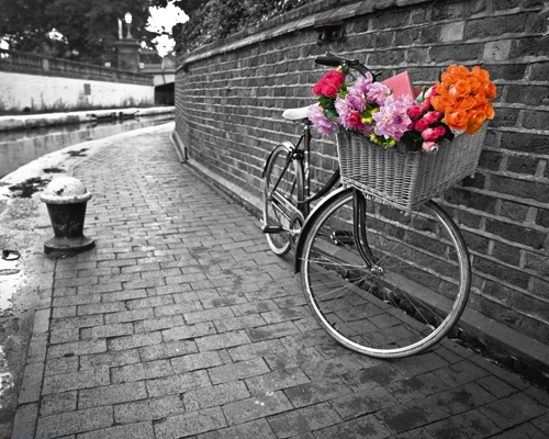 Assaf Frank Bicycle Of Love I