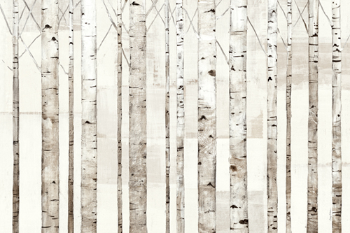 Avery Tillmon Birch Trees On White