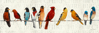 Avery Tillmon The Usual Suspects Birds On A Wire