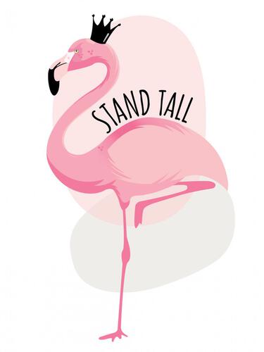 Ayse Flamingo