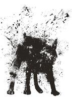 Balazs Solti Wet Dog