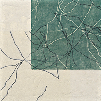 Betina Kaiser Blatt Werk Ii