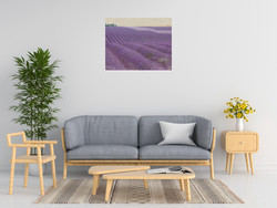 Bret Straehling Lavender On Linen 1