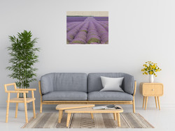 Bret Straehling Lavender On Linen 2