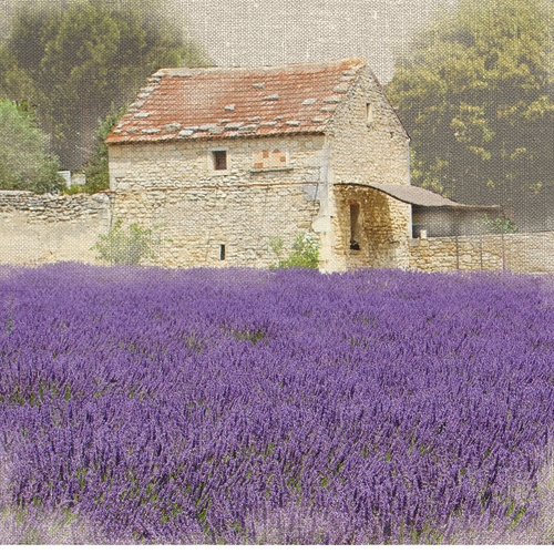 Bret Straehling Tuscan Lavender