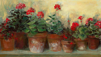 Carol Rowan Kathleen S Geraniums