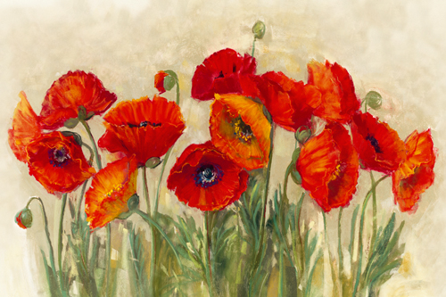 Carol Rowan Vibrant Poppies