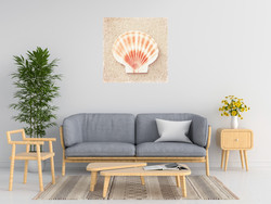 Carolyn Cochrane Scallop Shell