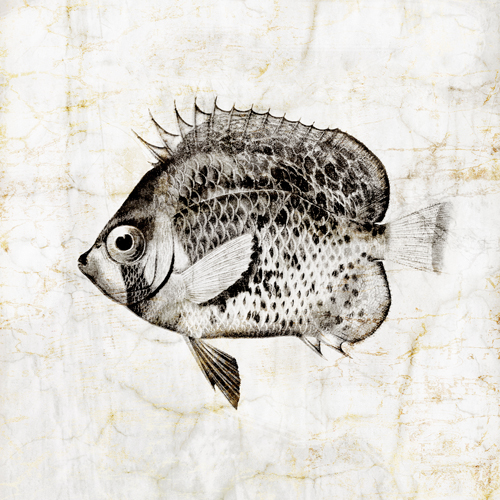 Christine Zalewski Vintage Fish Iv