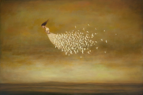 Duy Huynh Freeform