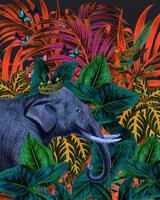 Erika C Brothers Tropical Jungle
