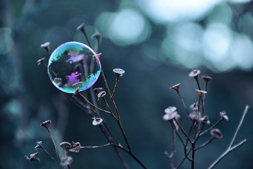 Gaelle Strohmenger Fragile Perle