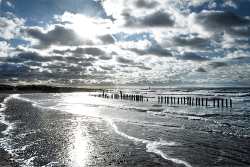 Gill Copeland Glistening Shoreline