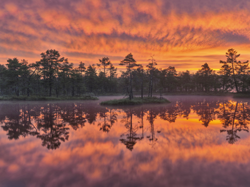 Hans Strand Dawn