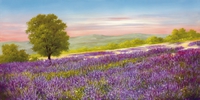 Heinz Schollnhammer Lavender Field