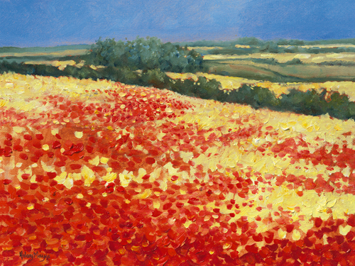 Hilary Mayes Harvest Poppies