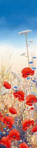 Hilary Mayes Poppy Field Iii