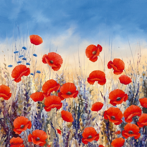 Hilary Mayes Sunset Poppies