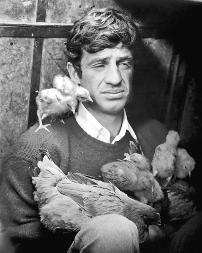 Hollywood Photo Archive Jean Paul Belmondo