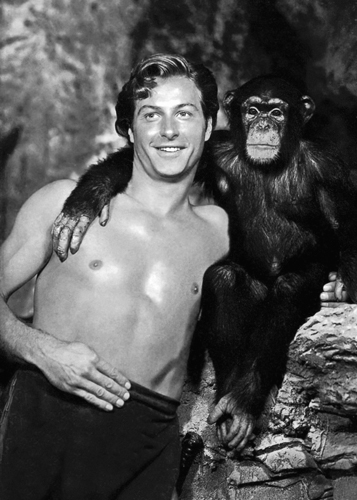 Hollywood Photo Archive Lex Barker With Cheeta