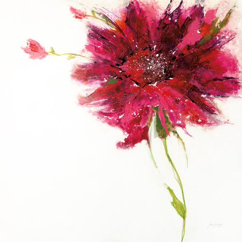 Jan Griggs Pink Daisy On White