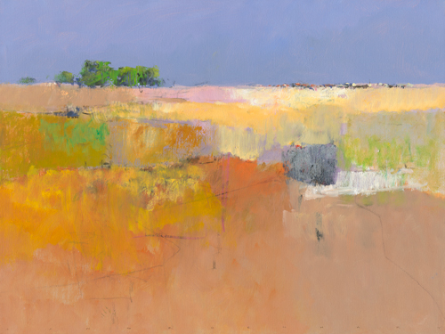 Jan Groenhart Meadow In Color