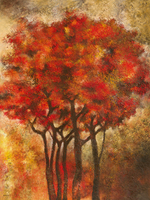 Jean Pierre Gack Arbres Rouges