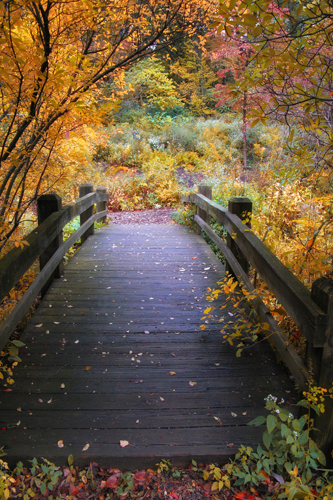 Jessica Jenney Bridge Over Shallow Water