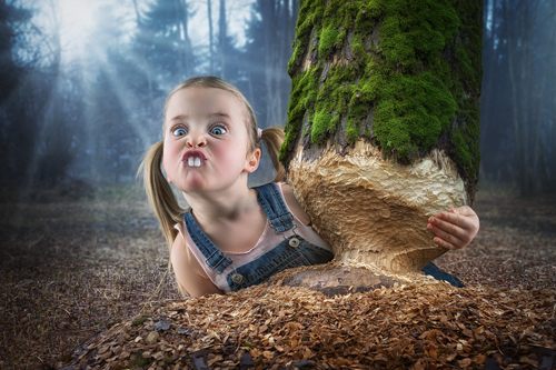 John Wilhelm Is A Photoholic Just A Little Beaver